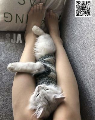 68集电视剧免费观看