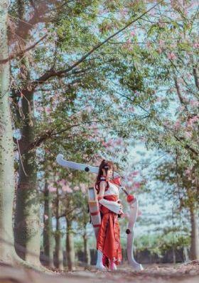 浪漫樱花免费播放高清版在线观看