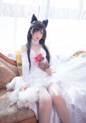 免费91网站
